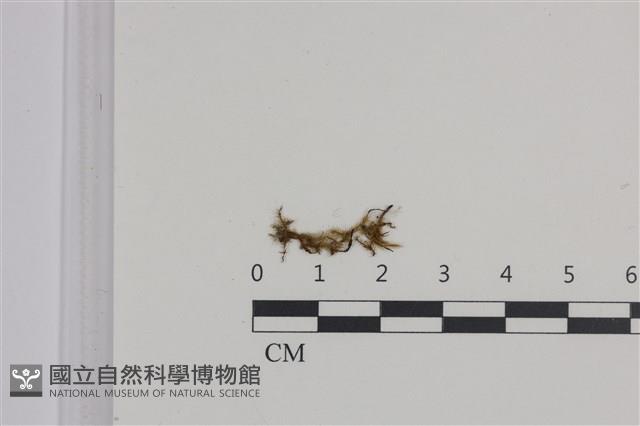 登錄號:B00004715藏品圖，第1張