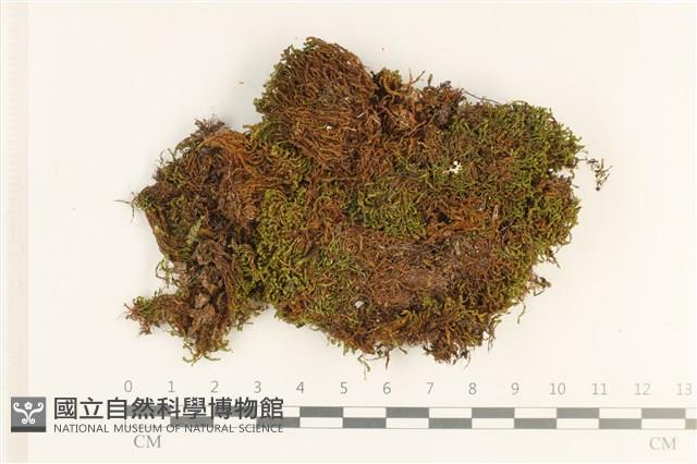 登錄號:B00017715藏品圖，第1張
