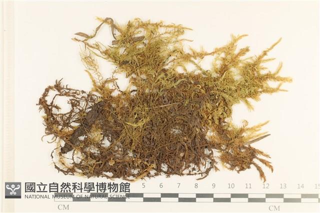 Accession Number:B00001715 Collection Image, Figure 1, Total 2 Figures