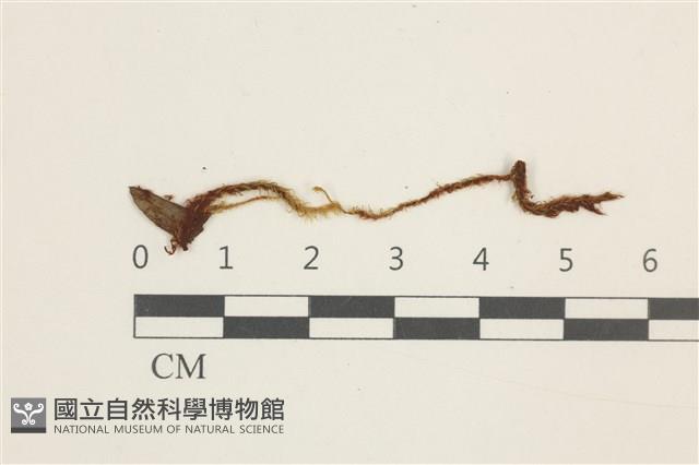 登錄號:B00013715藏品圖，第1張