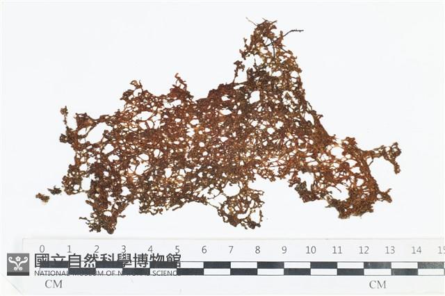 登錄號:A00002695藏品圖，第1張