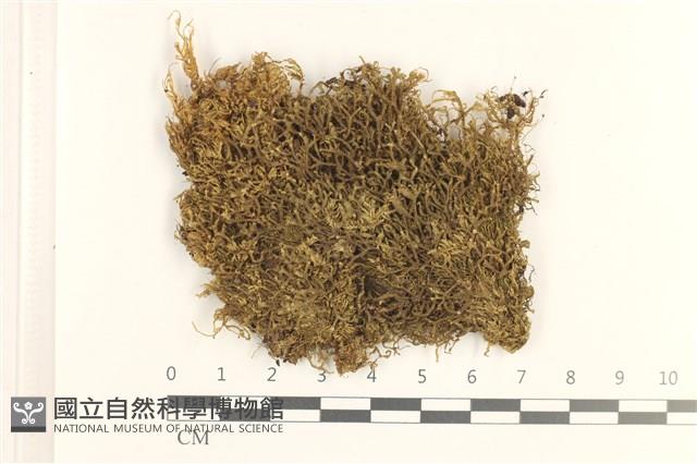 登錄號:B00019695藏品圖，第1張