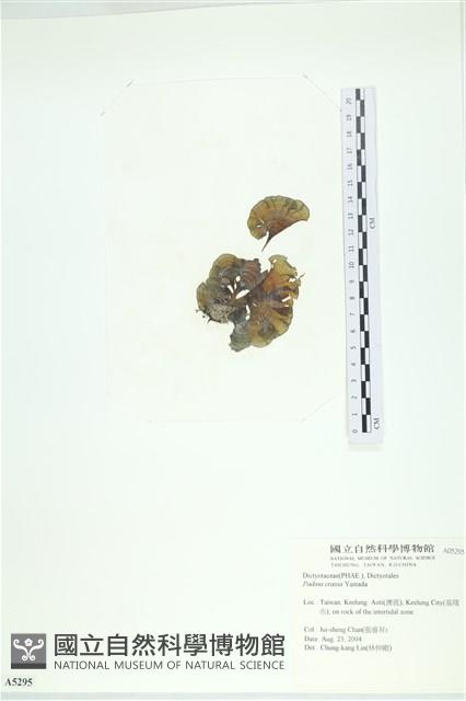 登錄號:A00005295藏品圖，第1張