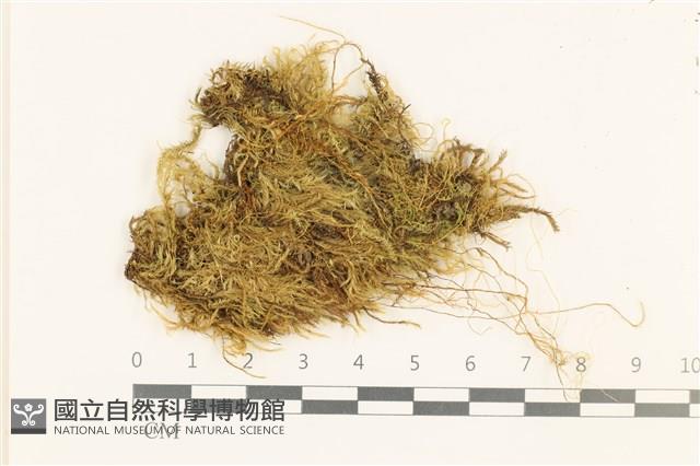 登錄號:B00007195藏品圖，第1張