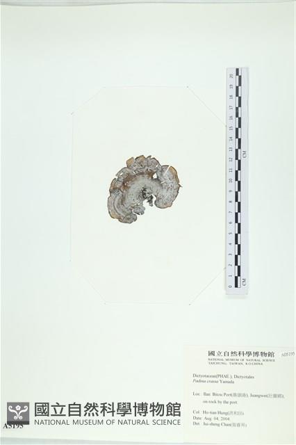 登錄號:A00005195藏品圖，第3張