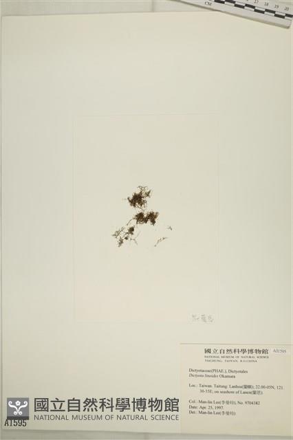 登錄號:A00001595藏品圖，第3張