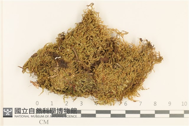 登錄號:B00010595藏品圖，第1張