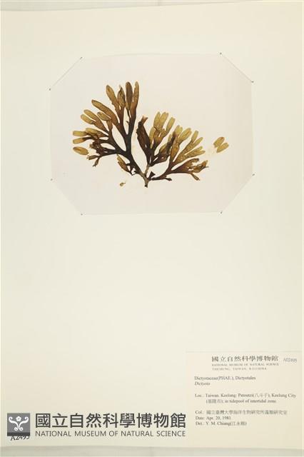 登錄號:A00002495藏品圖，第3張