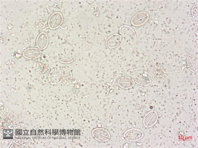 登錄號:A00004495藏品圖，第3張