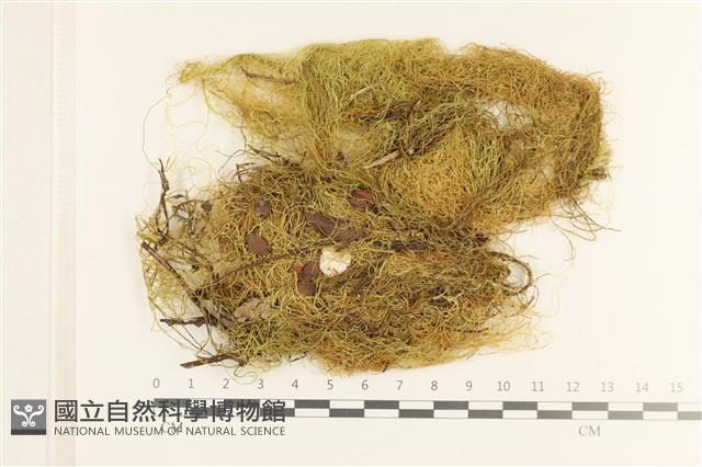 登錄號:B00012795藏品圖，第1張