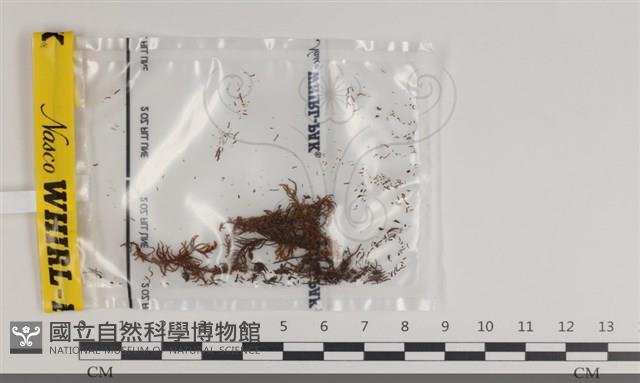 登錄號:B00005795藏品圖，第1張