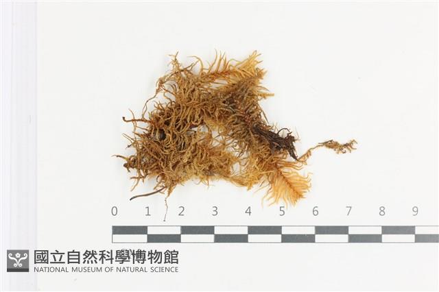 登錄號:B00018645藏品圖，第1張