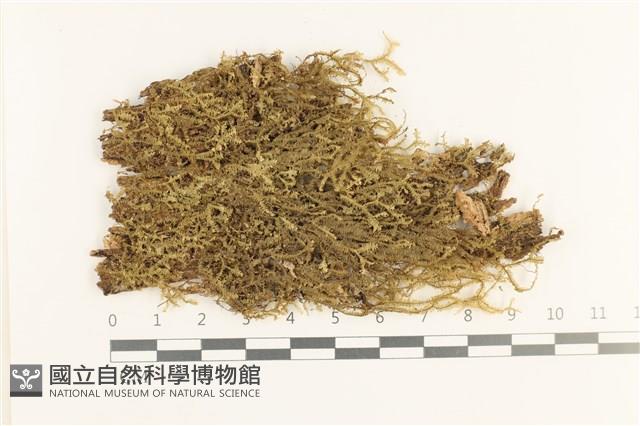 登錄號:B00019645藏品圖，第1張