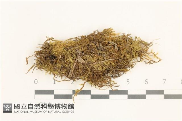 登錄號:B00014645藏品圖，第1張