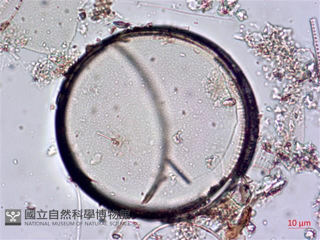 登錄號:A00004645藏品圖，第4張
