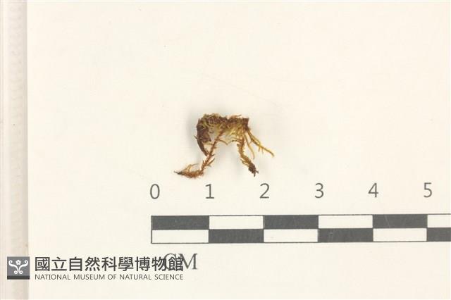 登錄號:B00017645藏品圖，第1張
