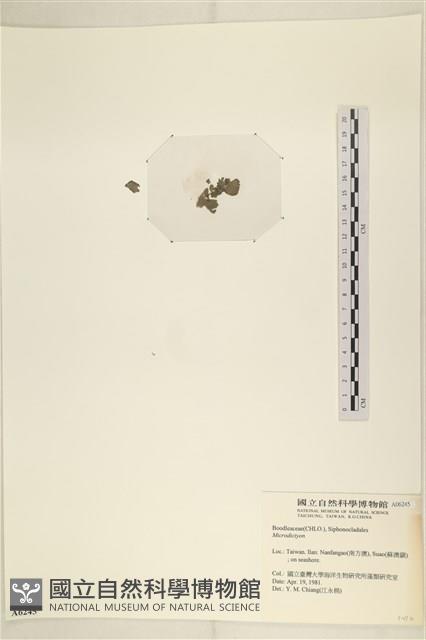 登錄號:A00006245藏品圖，第3張