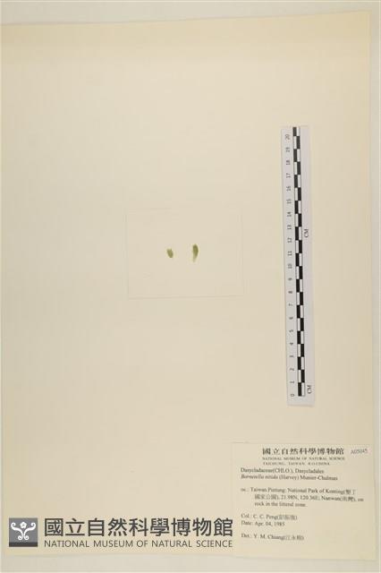 登錄號:A00005045藏品圖，第3張