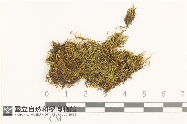 登錄號:B00015545藏品圖，第1張
