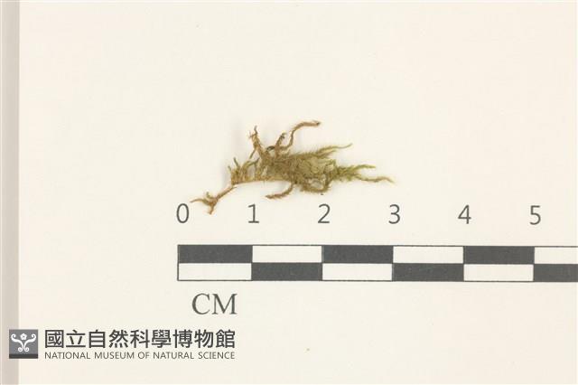 登錄號:B00014445藏品圖，第1張