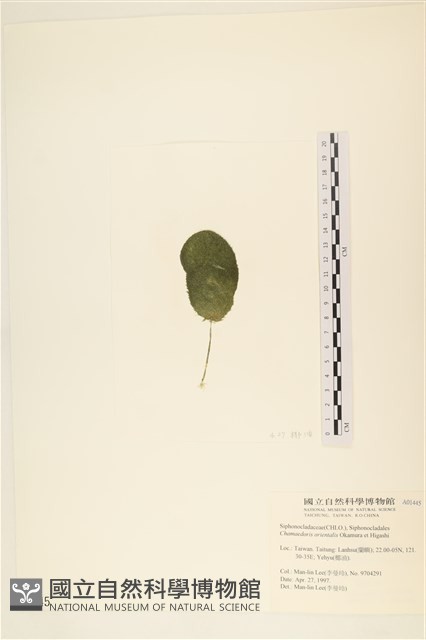 登錄號:A00001445藏品圖，第3張