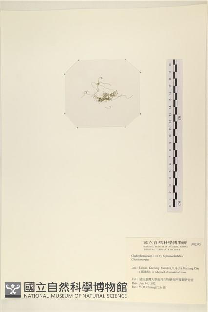 登錄號:A00002345藏品圖，第3張