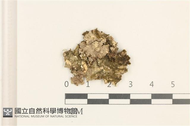 登錄號:B00019345藏品圖，第1張