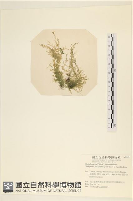 登錄號:A00005345藏品圖，第1張