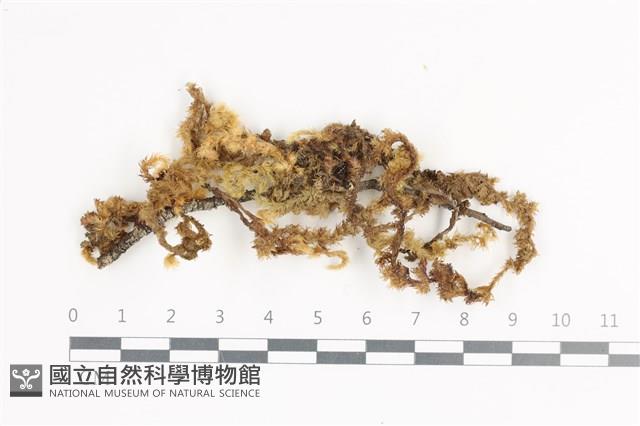 Accession Number:B00011345 Collection Image, Figure 1, Total 2 Figures