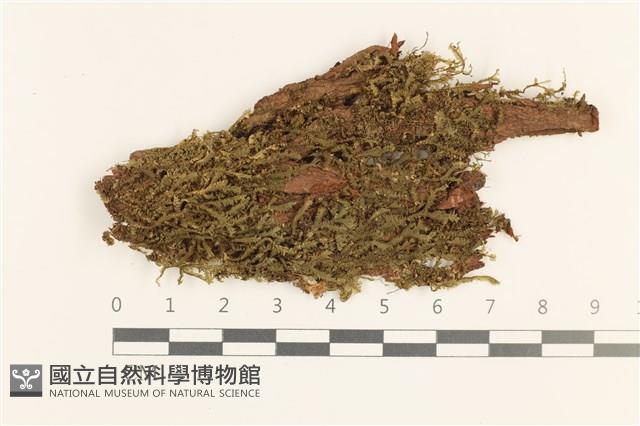 登錄號:B00019745藏品圖，第1張