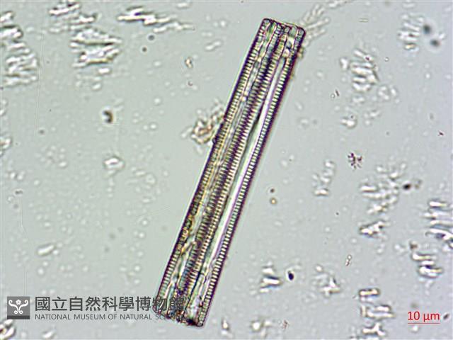 登錄號:A00004665藏品圖，第4張