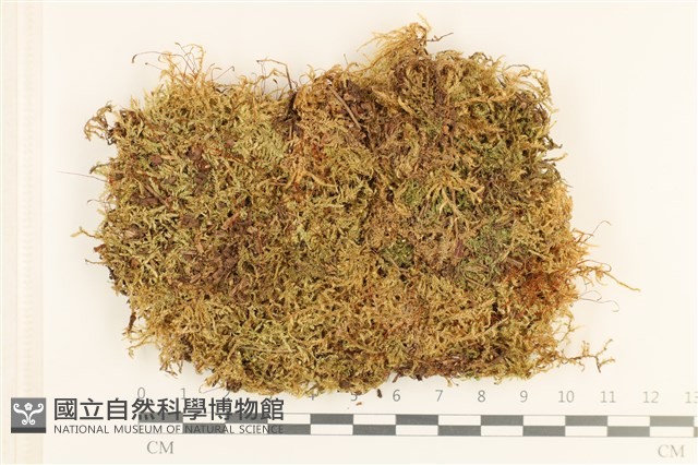 登錄號:B00010665藏品圖，第1張