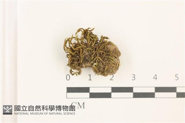 登錄號:B00017265藏品圖，第1張