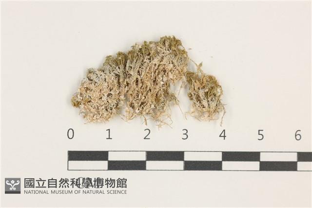 登錄號:B00018165藏品圖，第1張