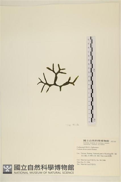 登錄號:A00001165藏品圖，第3張