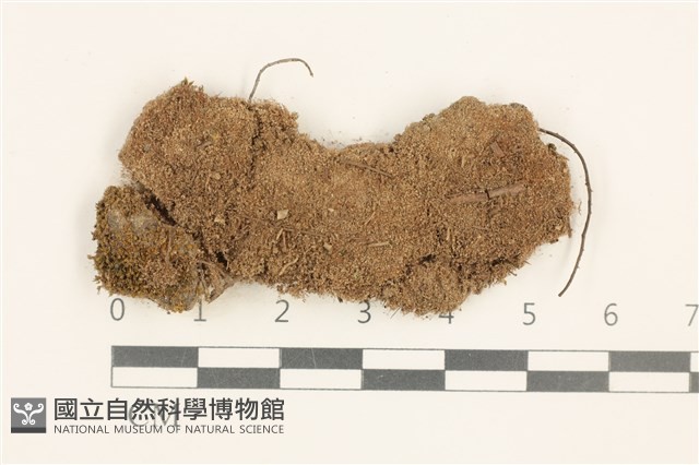 登錄號:B00014465藏品圖，第1張
