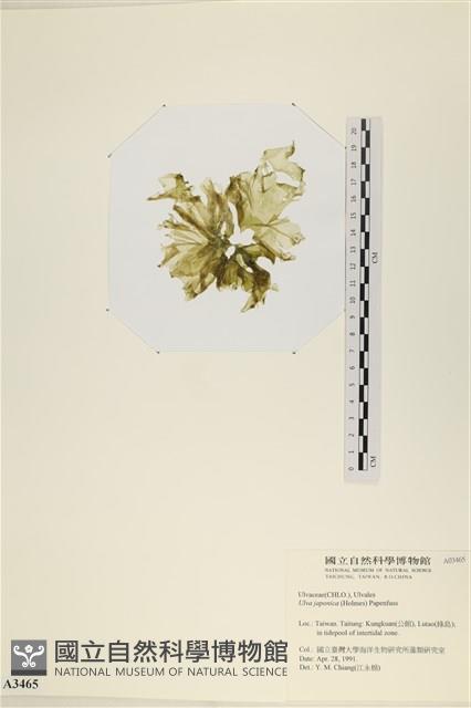 登錄號:A00003465藏品圖，第3張