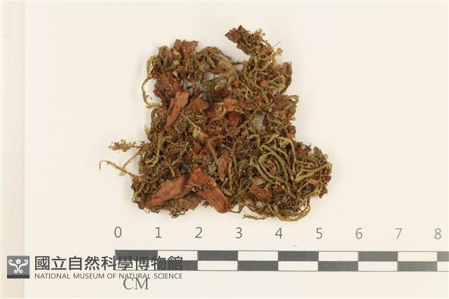 館號:B00019765藏品圖，第1張