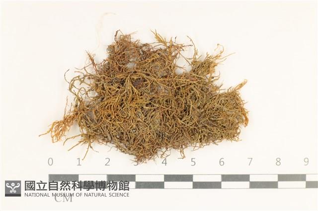 登錄號:B00004765藏品圖，第1張