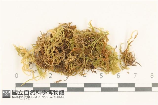 登錄號:B00009605藏品圖，第1張