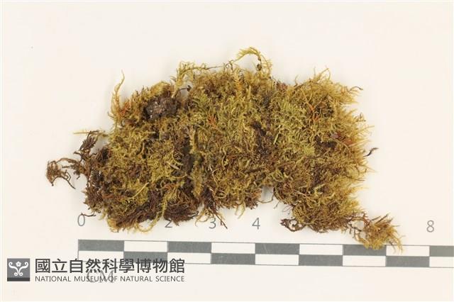 登錄號:B00015605藏品圖，第1張