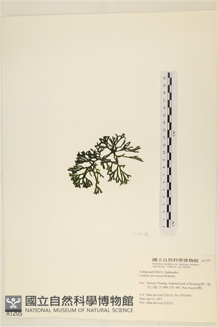 登錄號:A00001205藏品圖，第3張