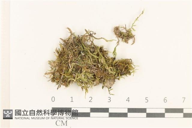 登錄號:B00013205藏品圖，第1張