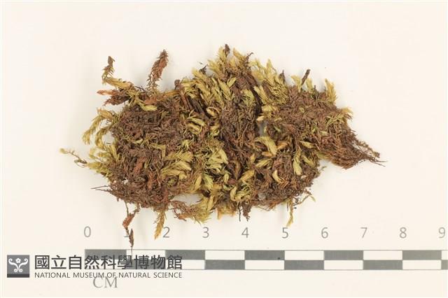 登錄號:B00003105藏品圖，第1張