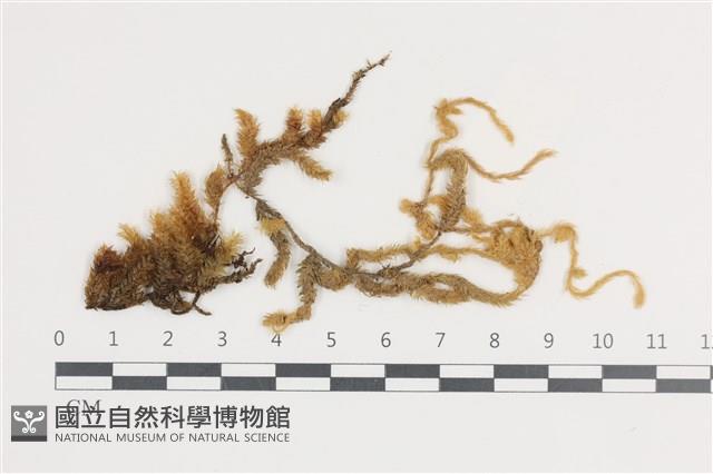 登錄號:B00004505藏品圖，第1張