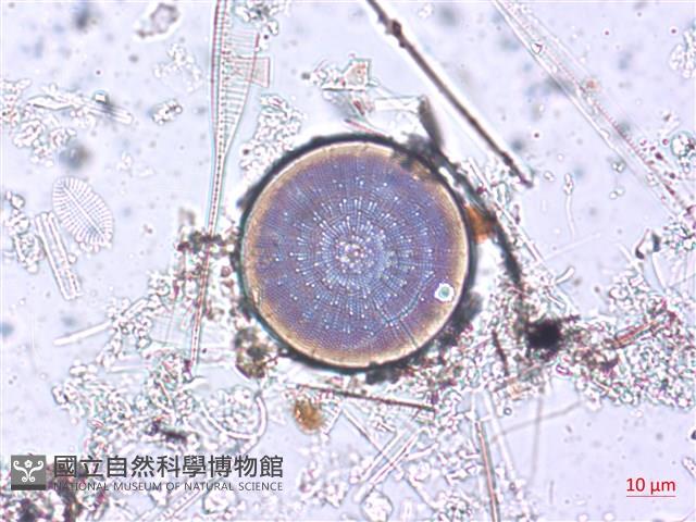 登錄號:A00004505藏品圖，第4張