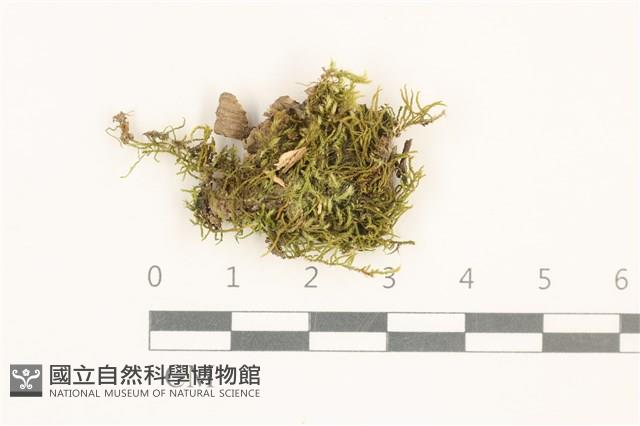 登錄號:B00017505藏品圖，第1張