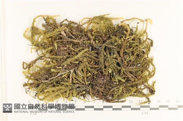 登錄號:B00005405藏品圖，第1張