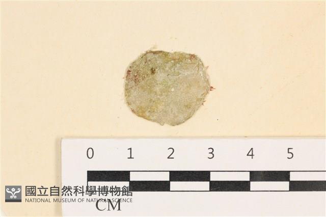 登錄號:A00006305藏品圖，第1張