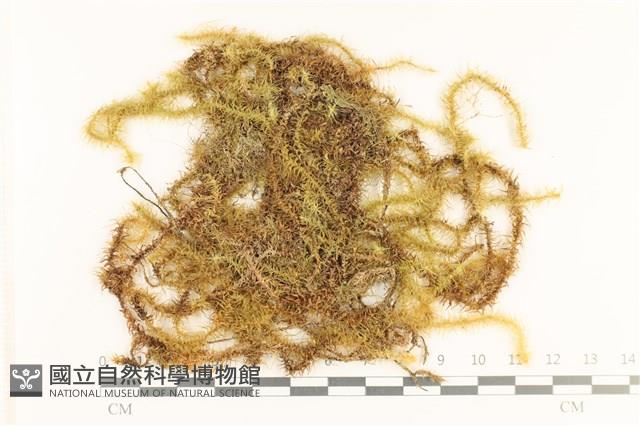 登錄號:B00005705藏品圖，第1張